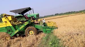 Crop Cutting Machine